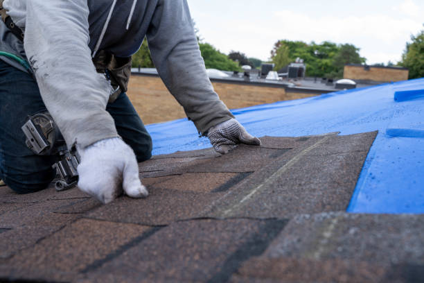 Best Roof Gutter Cleaning  in County Center, VA