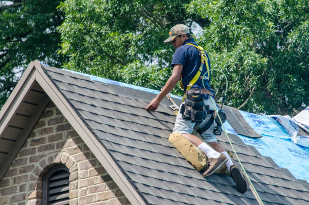 Best Local Roofing Companies  in County Center, VA